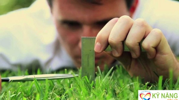 Cầu toàn là gì ? những dấu hiệu cho biết bạn là người cầu toàn