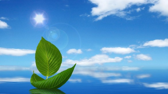 NĂM PHƯƠNG PHÁP GIÚP CÂN BẰNG CUỘC SỐNG