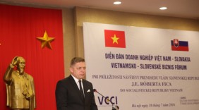 Thúc đẩy hợp tác doanh nghiệp Việt Nam - Slovakia
