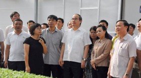 Vingroup sẽ hỗ trợ đưa sản phẩm của nông dân vào cửa hàng an toàn