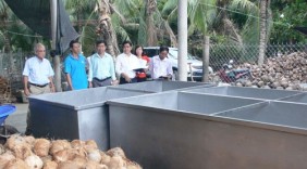 Hiệp hội dừa Bến Tre: Tiếp tục cùng doanh nghiệp và nông dân tháo gỡ khó khăn