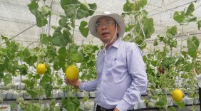 TPHCM: Ra mắt phiên chợ nông sản VietGAP - GlobalGAP