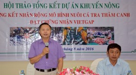 Nuôi cá tra VietGAP tạo ra sản phẩm sạch, giảm chi phí