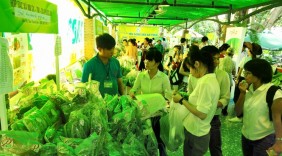 Đưa sản phẩm VietGAP vào trường học