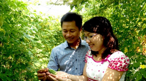 Bán đất Sài Gòn để làm trà khổ qua rừng