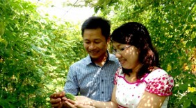 Bán đất Sài Gòn để làm trà khổ qua rừng