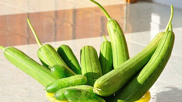 Những công dụng chữa bệnh của quả mướp