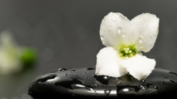 Đời bình an khi nghĩ đơn giản, sống đơn thuần