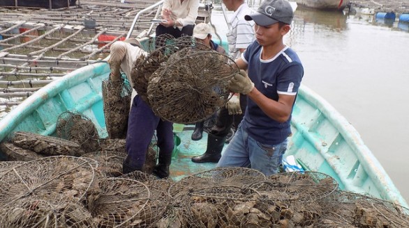 Nghề