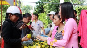 Quảng bá trái cây chất lượng của đất xứ Mường