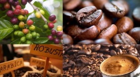 Ngày 10/12 được chọn là Ngày Cà phê Việt Nam