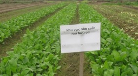 Tọa đàm: Nông nghiệp hữu cơ- Giải pháp cho nông sản thực phẩm sạch