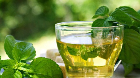 7 loại cây chữa chướng bụng đầy hơi hiệu quả nhất: Bạn không cần dù chỉ 1 viên thuốc