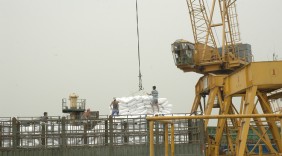 Xây dựng thương hiệu gạo Việt: Nâng cao giá trị xuất khẩu