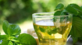 7 loại cây chữa chướng bụng đầy hơi hiệu quả nhất: Bạn không cần dù chỉ 1 viên thuốc