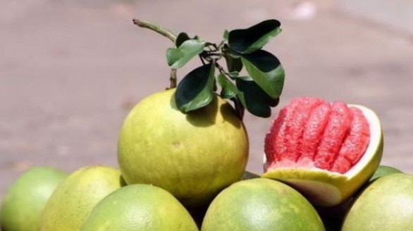 Những ai không nên ăn bưởi?