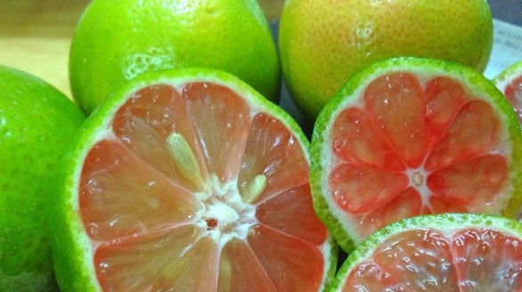 Những công dụng bất ngờ của chanh đào