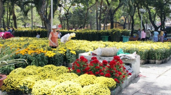 Tổ chức Hội Hoa xuân và chợ hoa Tết Đinh Dậu 2017