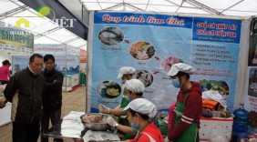 Nấm sừng hươu, lợn bản xuống Thủ đô 