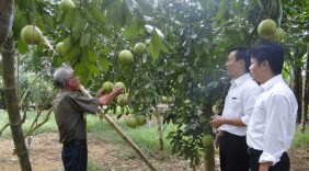 Agribank tiên phong cấp tín dụng “tam nông”