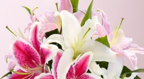 Top 8 loài hoa đại kỵ không nên chưng lên bàn thờ trong ngày Tết