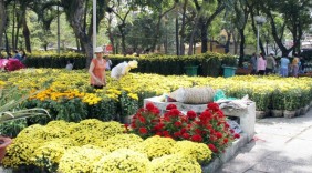 Tổ chức Hội Hoa xuân và chợ hoa Tết Đinh Dậu 2017