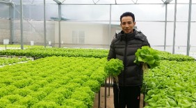 Thạc sĩ tài chính thu mỗi tháng gần tỷ đồng từ rau sạch