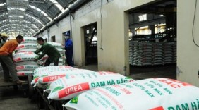 Nhà nước có thể bán tối đa 49% vốn tại Vinachem