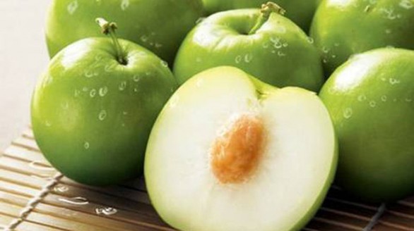 Tác dụng chữa bệnh hiệu quả từ táo ta