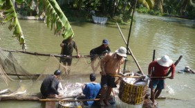 Ngành thủy sản lạc quan