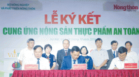 Quế Lâm 