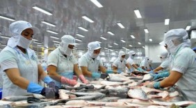 Dù bị chơi xấu, cá tra Việt Nam vẫn 