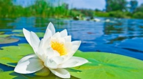 Phúc lớn do Trời, phúc nhỏ do người
