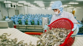 Hàng Việt Nam đón tin vui khi xuất khẩu vào Úc