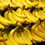 Chuối Việt đắt hàng ở thị trường thế giới