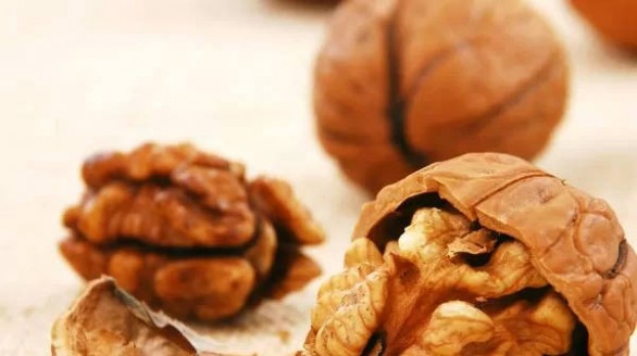 Những lợi ích tuyệt vời của quả óc chó