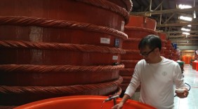 Thực phẩm hữu cơ Việt vào siêu thị Mỹ