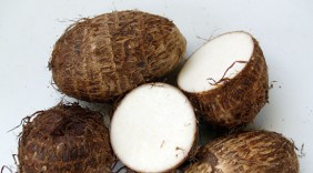 Khoai sọ cũng là một vị thuốc