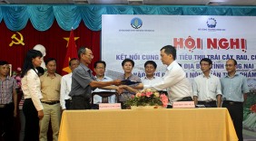 Ký kết hợp tác tiêu thụ nông sản an toàn tại chợ Dầu Giây