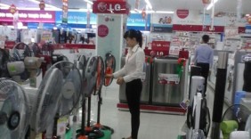 Thị trường quạt điện: Hàng Việt hoàn toàn chiếm ưu thế