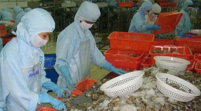 Bộ Nông nghiệp lên kế hoạch ngành tôm xuất khẩu 10 tỷ USD