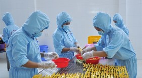 Việt Nam sẽ 