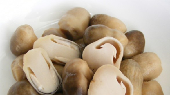 Nấm rơm ngừa ung thư, chữa bệnh liệt dương