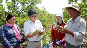 Sản xuất nông nghiệp công nghệ cao ở Tây Ninh