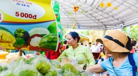 50 gian hàng tham gia Lễ hội trái cây Nam Bộ năm 2017