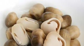 Nấm rơm ngừa ung thư, chữa bệnh liệt dương
