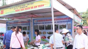 Nhiều hoạt động ý nghĩa trong Tháng công nhân