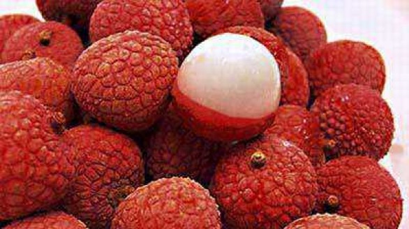 Bài thuốc dân gian hay từ quả vải