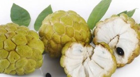 6 lợi ích không ngờ của quả na với sức khỏe
