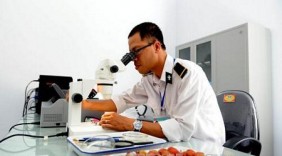 Bảo hộ chỉ dẫn địa lý giúp đặc sản 'bay xa'